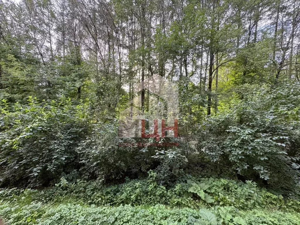 3-к кв. Тверская область, Конаковский муниципальный округ, с. Селихово ... - Фото 2