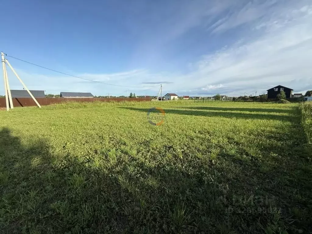 Участок в Новгородская область, Новгородский район, Ракомское с/пос, ... - Фото 2