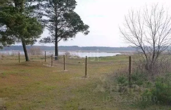 Участок в Псковская область, Печорский муниципальный округ, д. ... - Фото 2