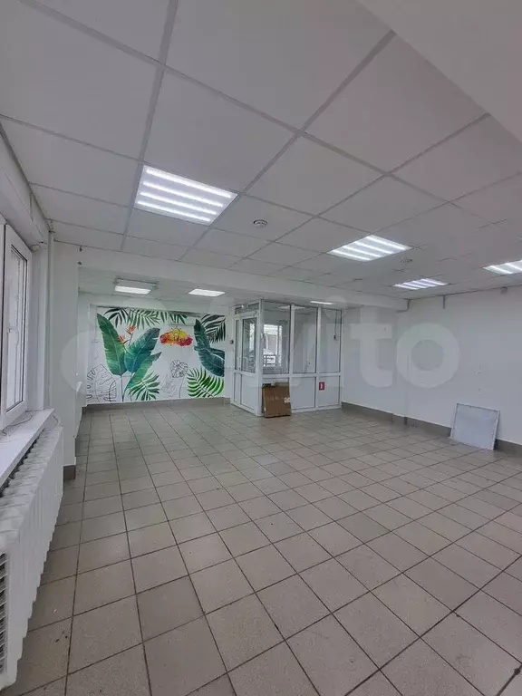 Свободного назначения, 50 м - Фото 0