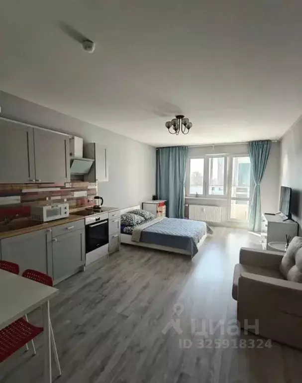 Студия Санкт-Петербург дор. Кушелевская, 3к10 (33.0 м) - Фото 2