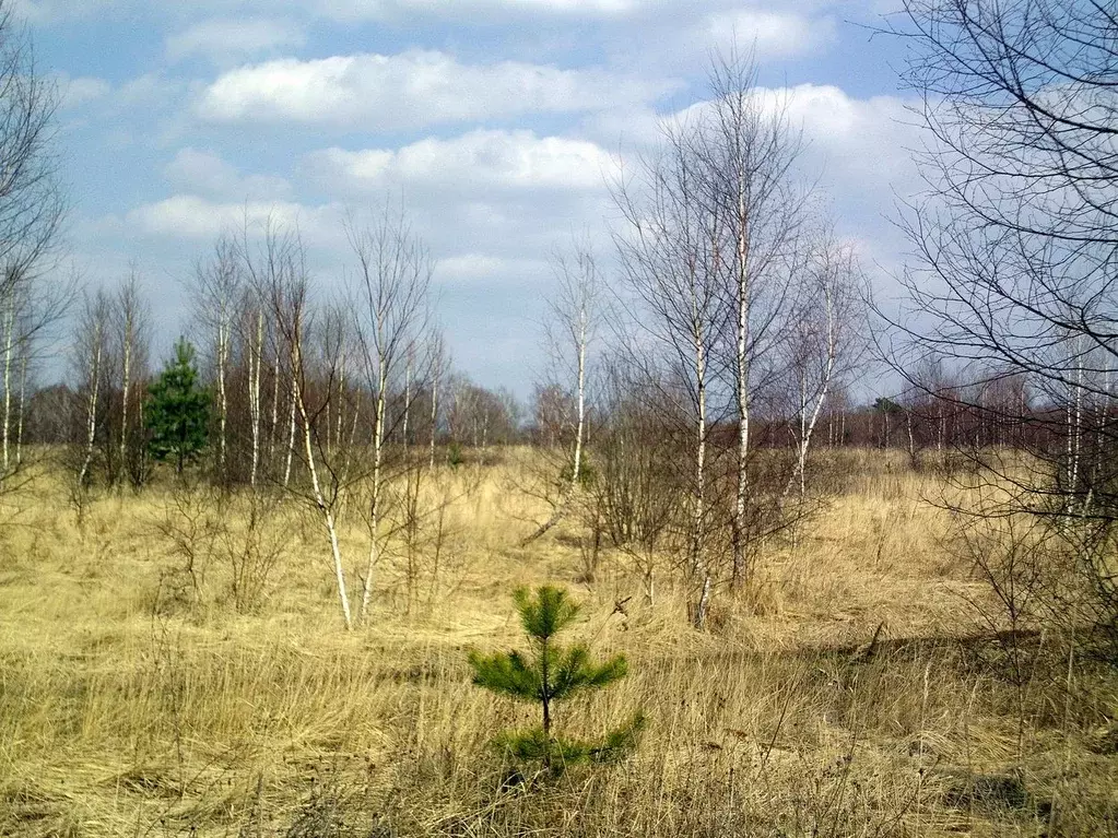 Участок в Калужская область, Тарусский район, д. Истомино  (14.0 сот.) - Фото 2