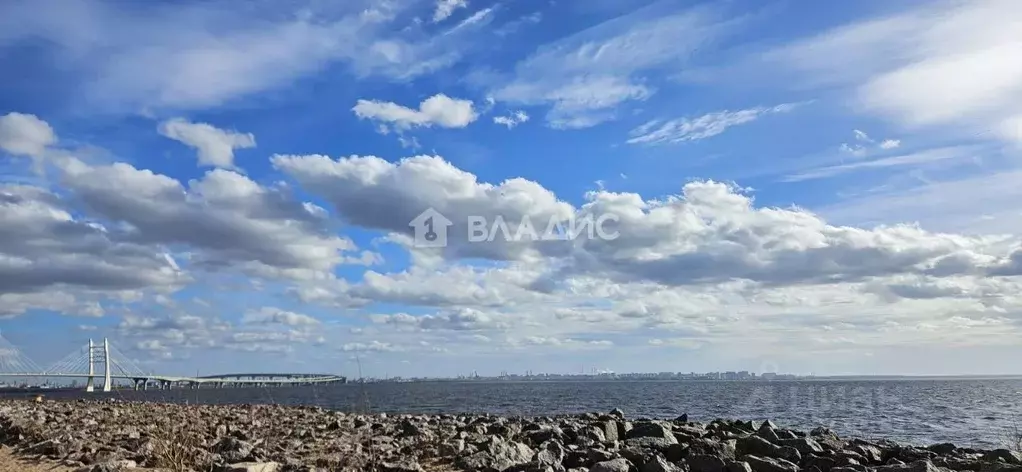 Студия Санкт-Петербург Аквилон Залив жилой комплекс (23.4 м) - Фото 0