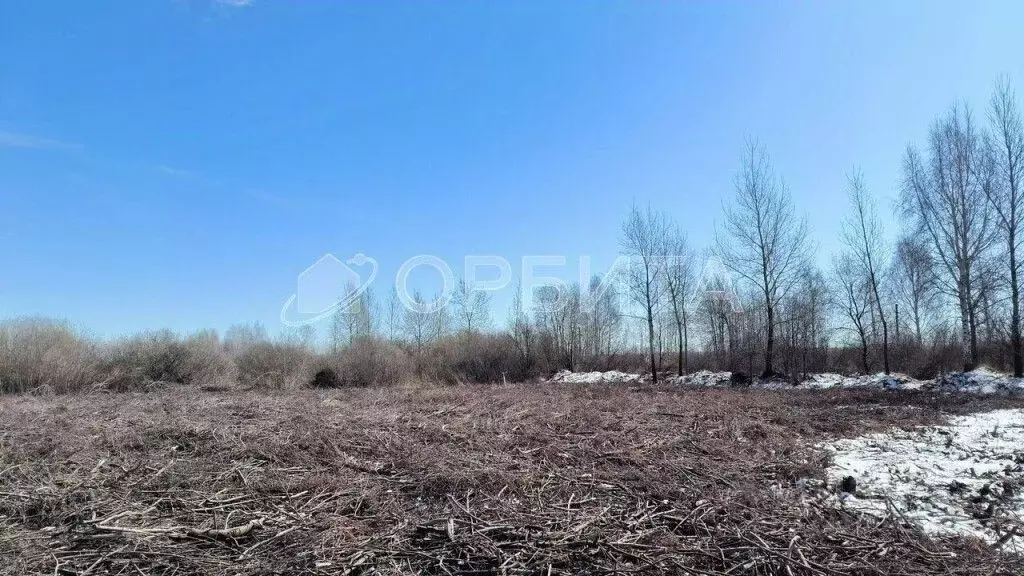 Участок в Тюменская область, Тюменский муниципальный округ, ... - Фото 2