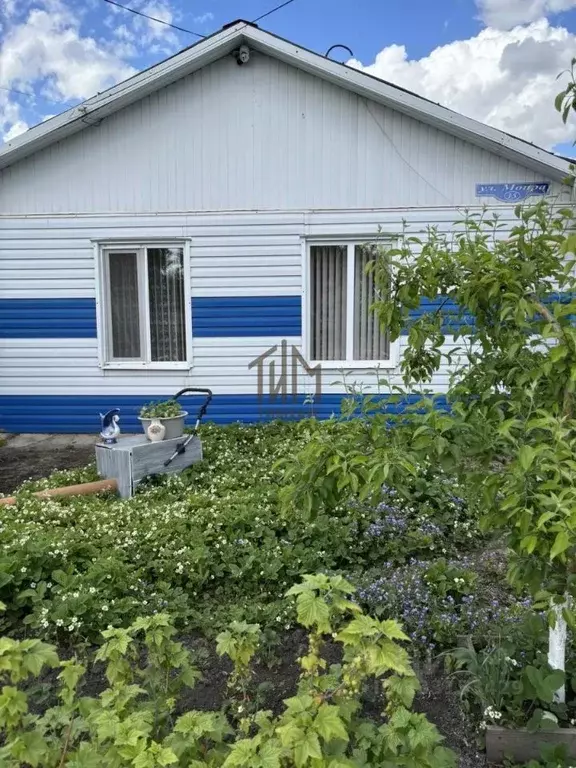 Дом в Омская область, Марьяновка рп ул. МОПРА, 15 (53 м) - Фото 1