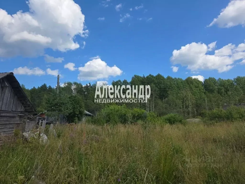 Участок в Ленинградская область, Приозерский район, Севастьяновское ... - Фото 2