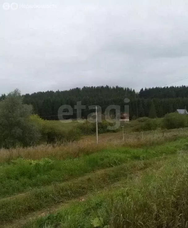 Участок в Пермский муниципальный округ, территория Власы (11 м) - Фото 1