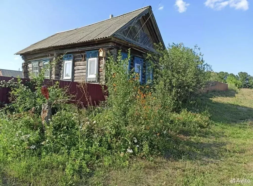 Дом в Мордовия, Большеберезниковский район, с. Шугурово  (58 м) - Фото 1