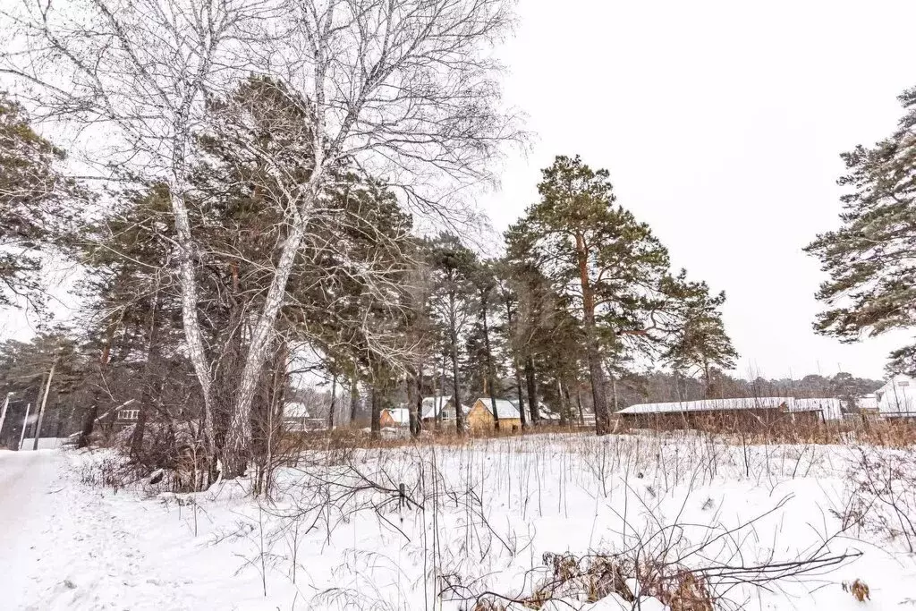 Дом в Искитимский район, село Тальменка (100 м) - Фото 0
