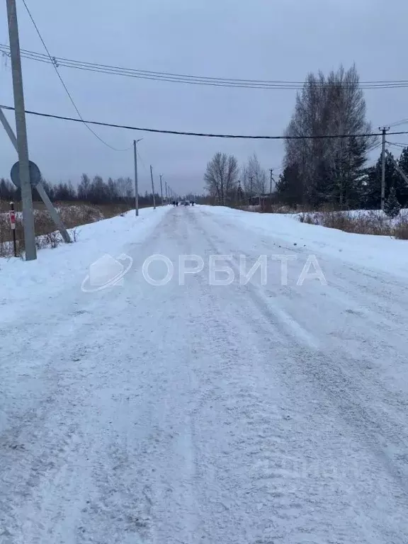 Участок в Тюменская область, Тюмень Царево садовое товарищество, ул. ... - Фото 1