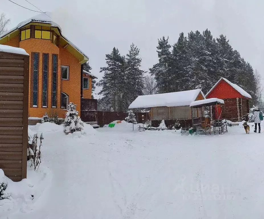 Дом в Московская область, Раменский муниципальный округ, д. Донино ул. ... - Фото 2