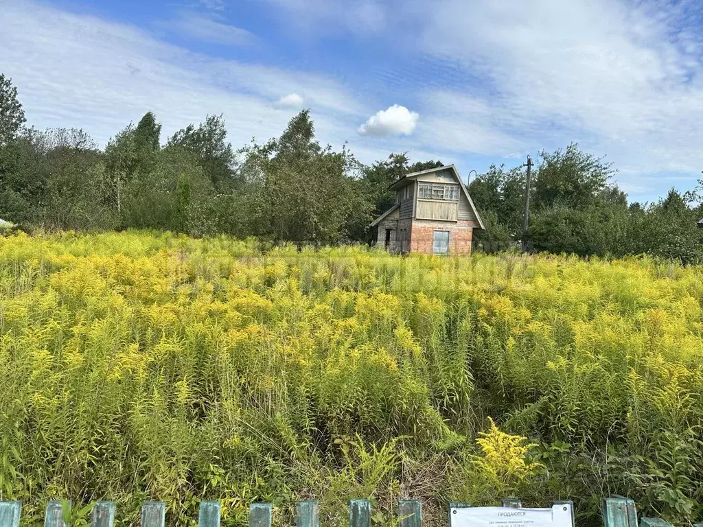 Участок в Смоленская область, Смоленский муниципальный округ, Аушра ... - Фото 2
