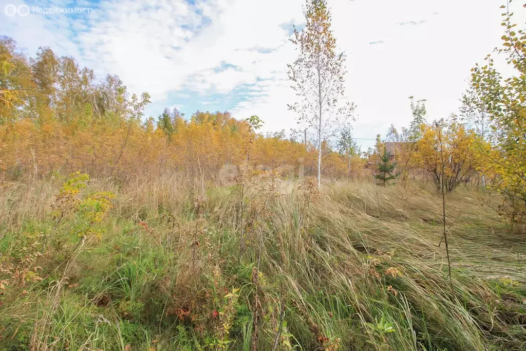 Участок в Первомайский район, посёлок Новый, улица Есенина, 6 (12 м) - Фото 0