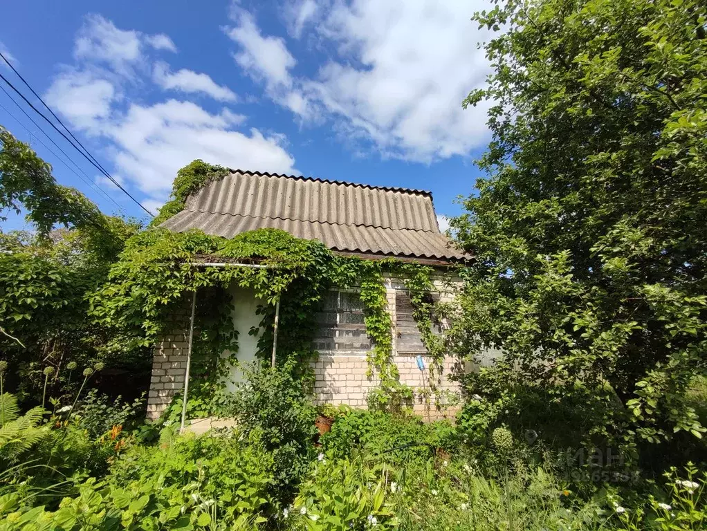 Дом в Костромская область, Кострома пос. Первомайский, ул. Боровая (38 ... - Фото 2