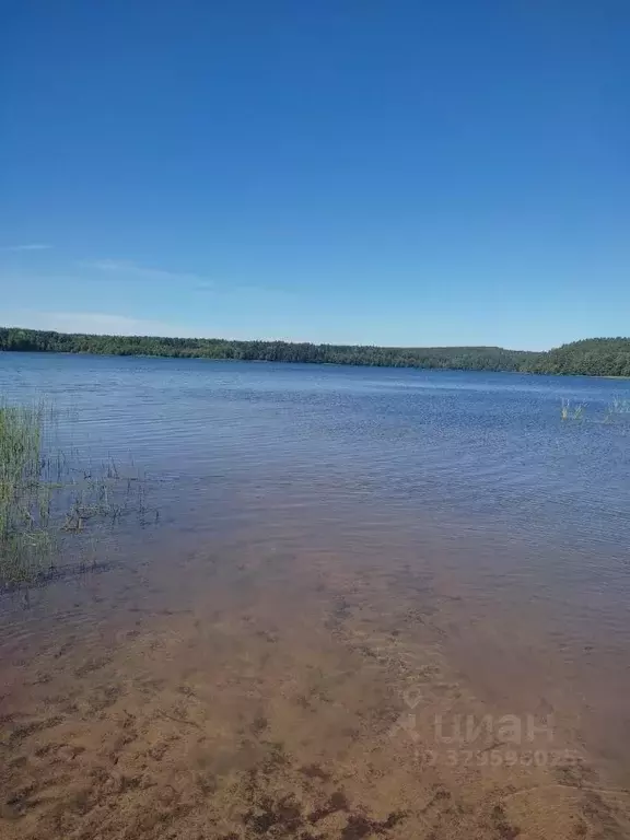 Дом в Ленинградская область, Кингисеппский район, Котельское с/пос, д. ... - Фото 1