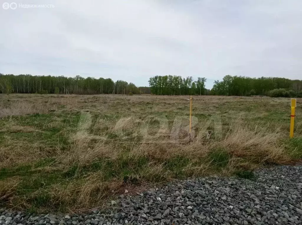 Участок в Ялуторовский район, село Сингуль Татарский (12 м) - Фото 0