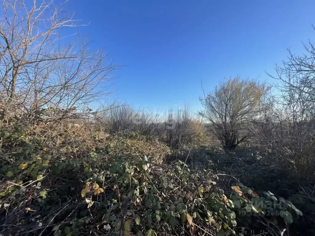 Участок в Ставропольский край, Ставрополь Зори Кавказа садовое ... - Фото 2