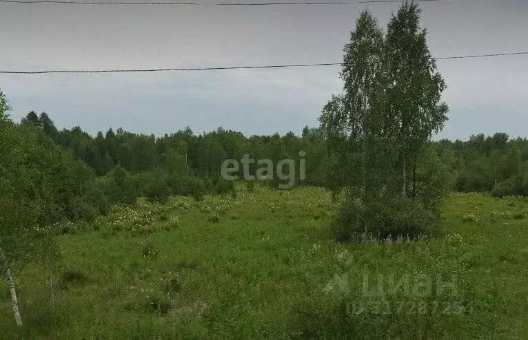 Участок в Свердловская область, Екатеринбург Северка-1 садоводческий ... - Фото 1