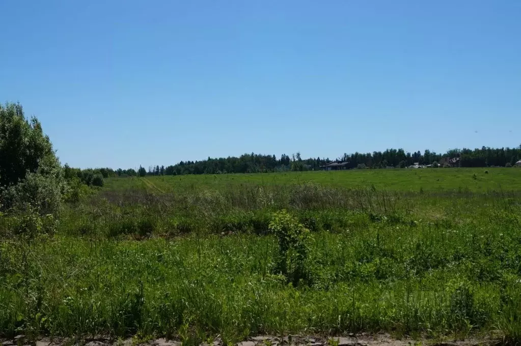 Участок в Московская область, Одинцовский городской округ, д. ... - Фото 0