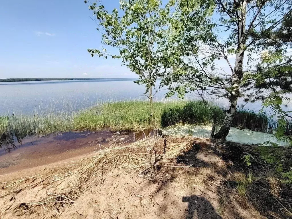 Дом в Ленинградская область, Выборгский район, Красносельское с/пос  ... - Фото 2