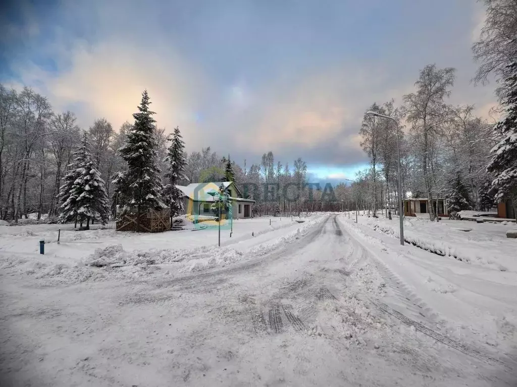 Участок в Ленинградская область, Приозерский район, Сосновское с/пос, ... - Фото 0