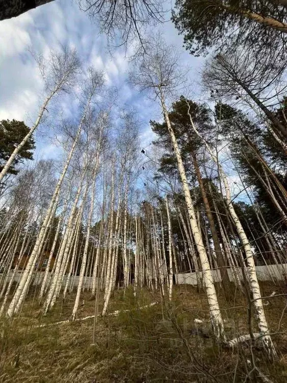 Участок в Иркутская область, Иркутский муниципальный округ, д. ... - Фото 1