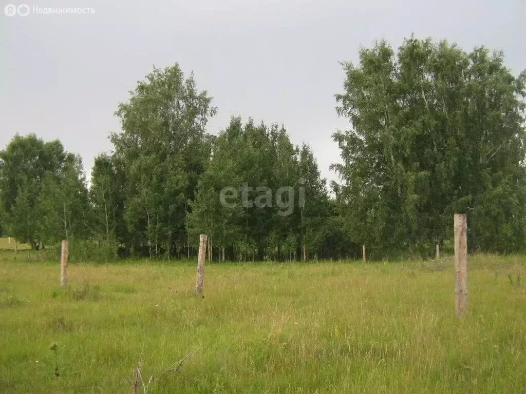 Участок в Искитимский район, село Быстровка (18.5 м) - Фото 0