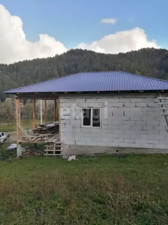 Дом в Алтай, Майминский район, с. Бирюля Окаинская ул., 17 (59 м) - Фото 0
