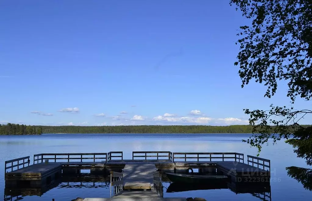 Участок в Ленинградская область, Выборгский район, Приморское ... - Фото 1