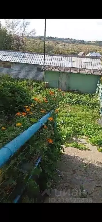 Дом в Оренбургская область, Кувандыкский муниципальный округ, с. ... - Фото 0