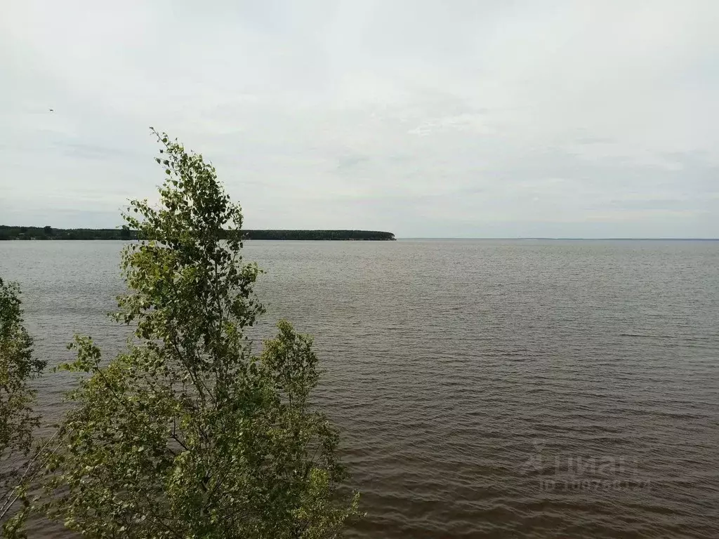 Участок в Нижегородская область, Сокольский городской округ, д. ... - Фото 1