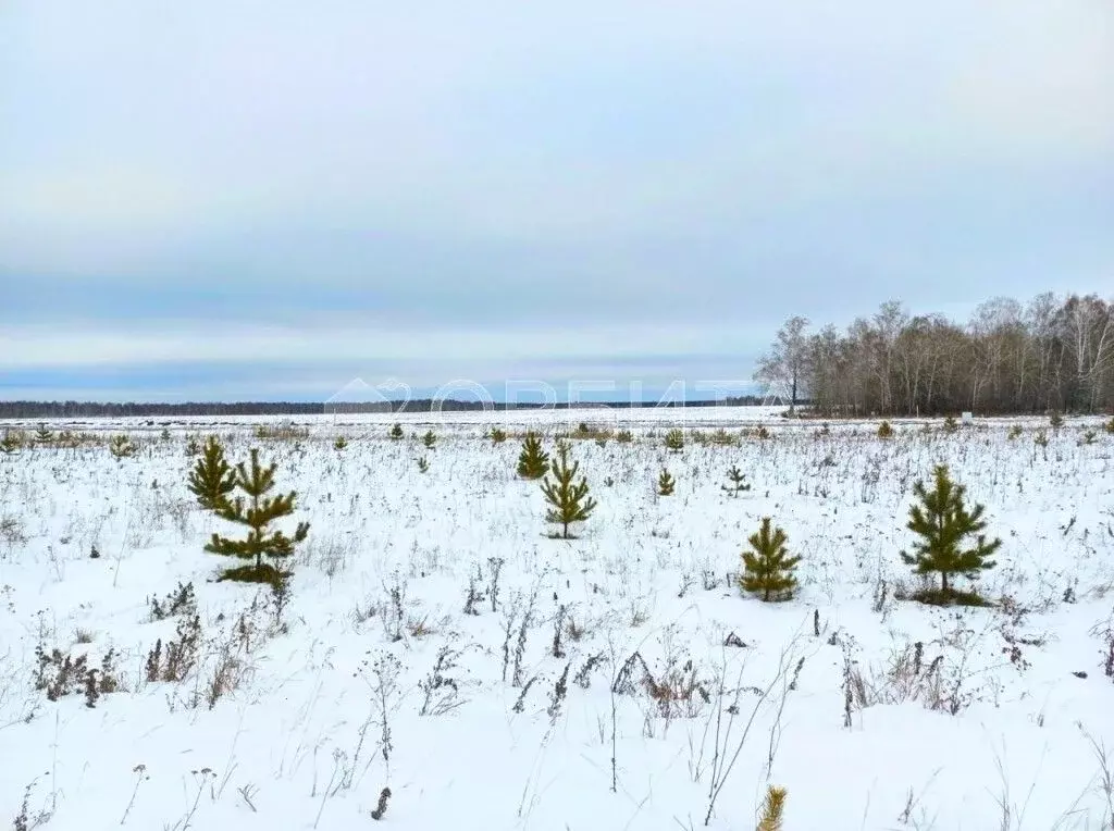 Участок в Тюменская область, Тюменский муниципальный округ, д. ... - Фото 2
