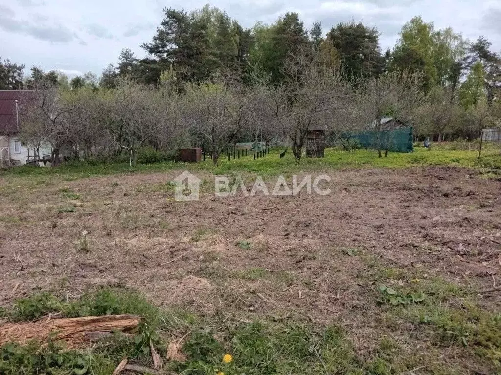 Участок в Владимирская область, Суздальский район, Новоалександровское ... - Фото 1