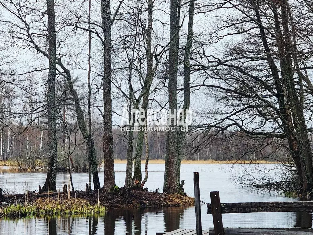 Участок в Ленинградская область, Приозерский район, Ларионовское ... - Фото 0