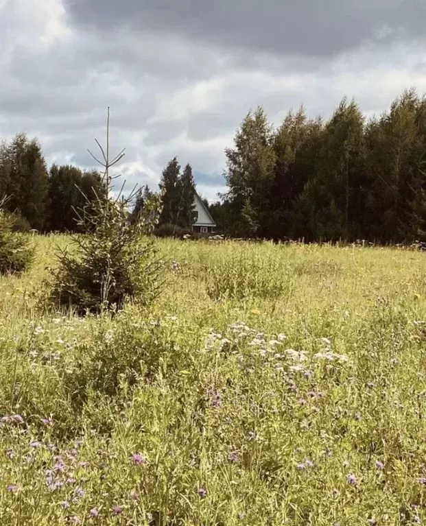 Участок в Владимирская область, Александровский муниципальный округ, ... - Фото 1