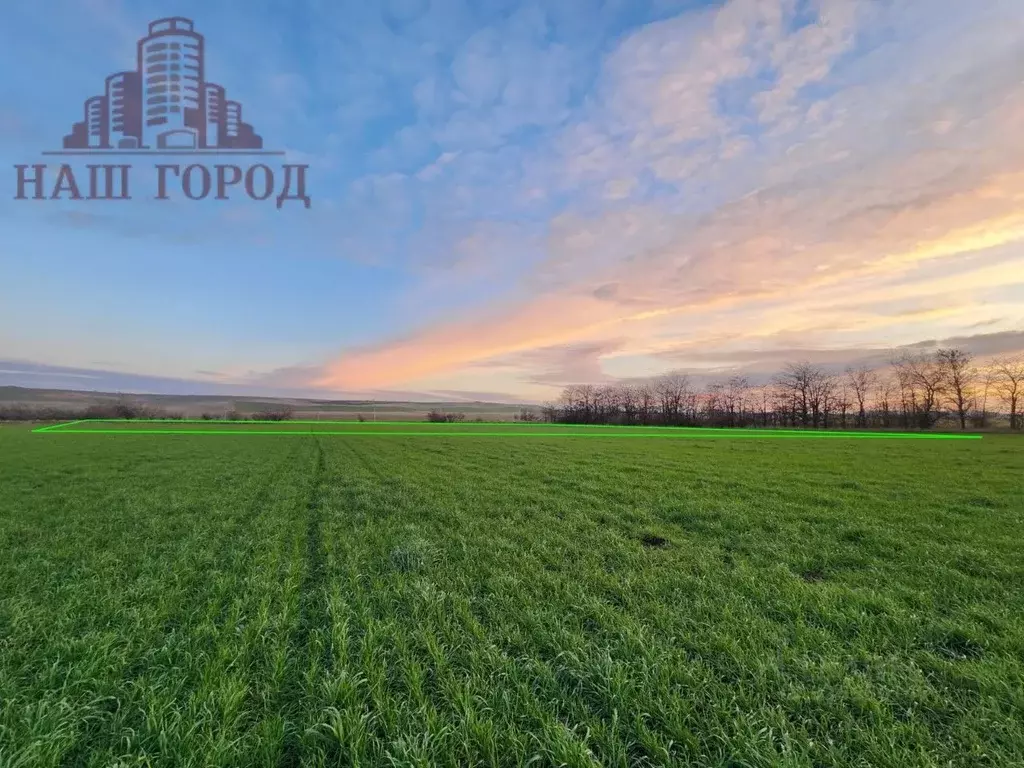 Участок в Крым, Кировский район, Журавское с/пос, с. Видное  (1100.0 ... - Фото 2