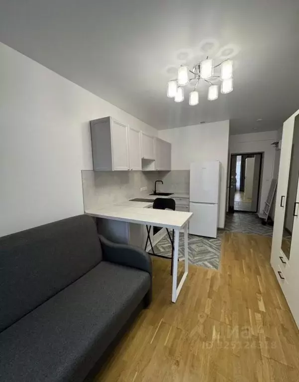 Студия Московская область, Красногорск городской округ, пос. ... - Фото 1