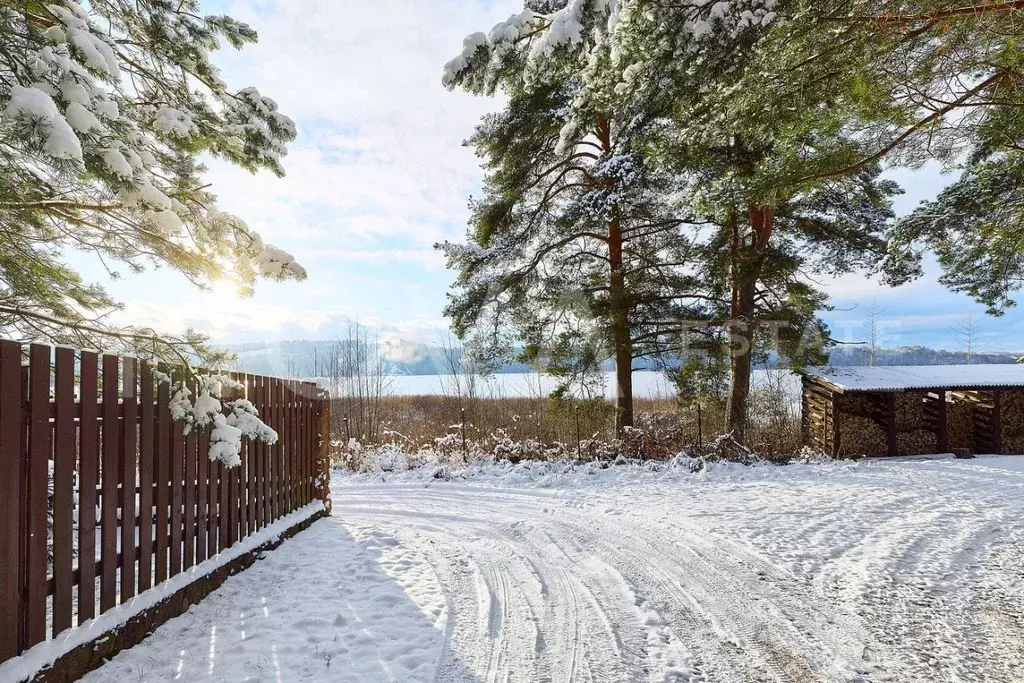 Участок в Ленинградская область, Приозерский район, Красноозерное ... - Фото 2