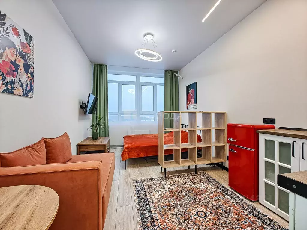 Студия Новосибирская область, Новосибирск Ленинградская ул., 340 (24.0 ... - Фото 1