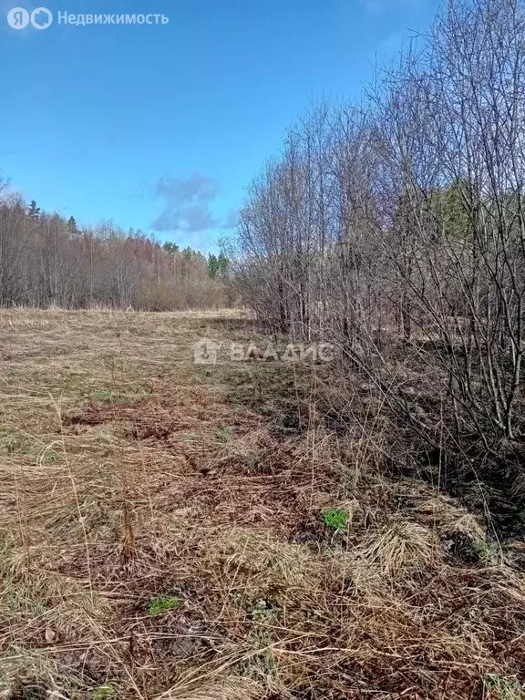 Участок в Кончезерское сельское поселение, СОТ Зверовод (90 м) - Фото 0