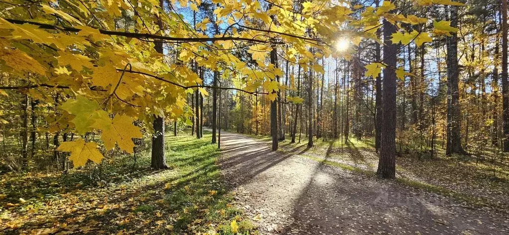 Студия Санкт-Петербург Светлановский просп., 14к1 (28.0 м) - Фото 2