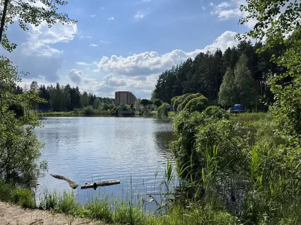 Дом в Московская область, Пушкинский городской округ, Софрино рп ул. ... - Фото 1