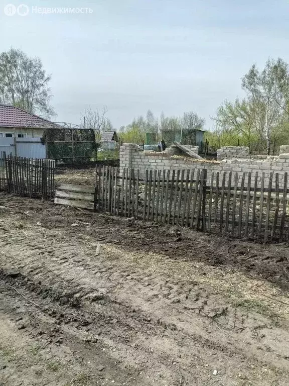 Участок в Омск, садоводческое некоммерческое товарищество Виктория, ... - Фото 2
