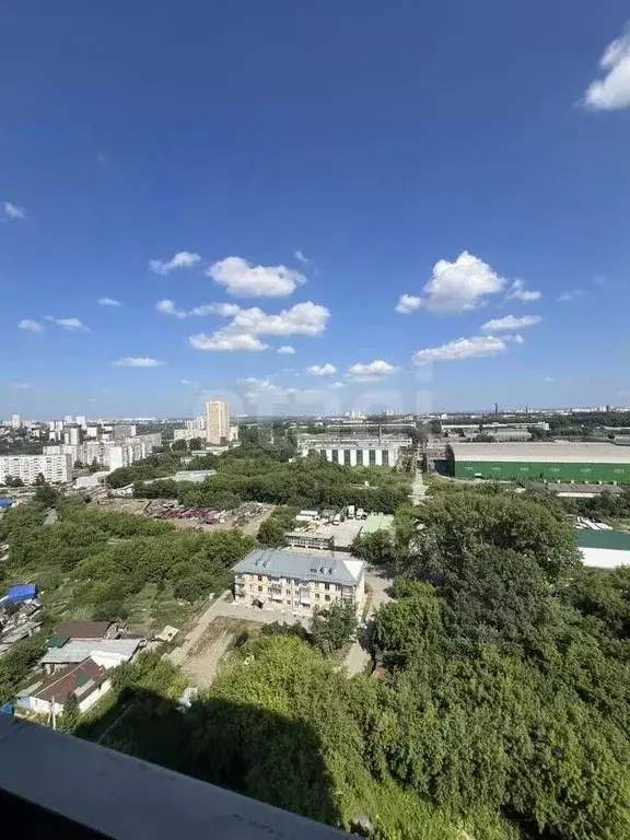 Студия Новосибирская область, Новосибирск Беловежская ул., 50 (27.3 м) - Фото 0