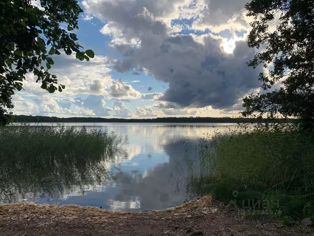 Участок в Ленинградская область, Выборгский район, Красносельское ... - Фото 0