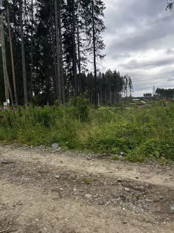 Участок в Свердловская область, Ревда  (10.0 сот.) - Фото 1
