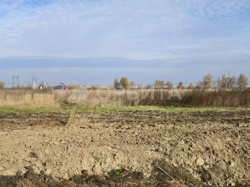 Участок в Тюменская область, Тюменский район, с. Борки  (16.0 сот.) - Фото 1