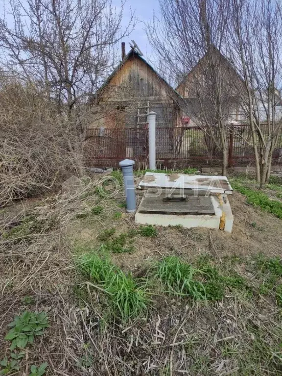 Дом в Тюменская область, Тюмень Якорь садовое товарищество, ул. ... - Фото 2