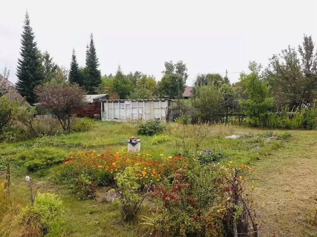 Участок в Курганская область, Кетовский муниципальный округ, УВД ... - Фото 1