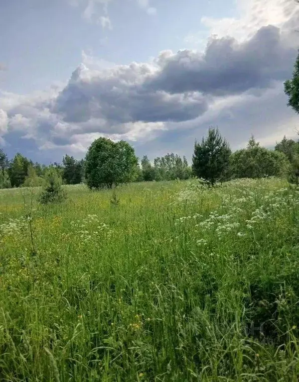 Участок, 500 сот., сельхоз (снт или днп) - Фото 1